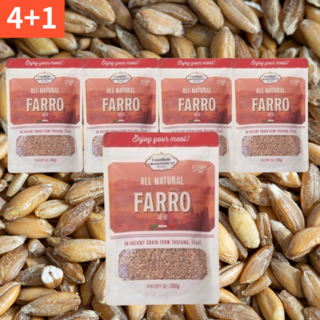 [이탈리아 고대곡물] 슈퍼푸드 저당 쌀 그레인온 파로 엠머 밀 그래인온 에머밀 파로쌀 저칼로리 묶음 대량 세트 구성, 1.4kg, 1개