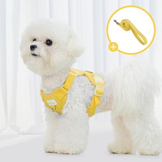 왈츠 강아지하네스 목줄 하네스 앞섬방지 슬개골 H형 가슴줄 소형견, 옐로우, 1개