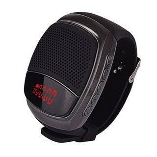 LG 엑스붐GO 무선 PL2 스피커 강력한, B90 표시 장식 블랙 리더기 포함, 패키지 21 32G 이야기 2328곡