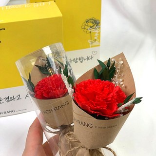 로랑 한송이 카네이션 장미 미니 꽃다발, 카네이션(레드)1+1, 1세트