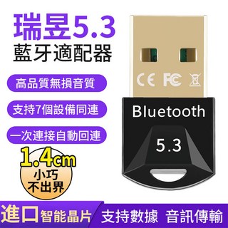 瑞昱芯片 藍芽接收器 電腦藍牙接收器 藍芽發射 適配器 無線藍牙音頻接收發射器, 1個, 藍牙接收器5.3