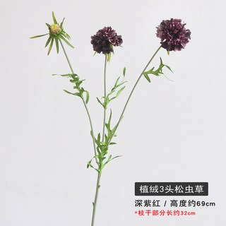松蟲草仿真花窄葉藍盆花客廳家居裝飾路引布置假花仿真花束仿真花永生花人造花乾燥花永不凋零拍照道具假花裝飾居家裝飾, 深紫紅, 1個