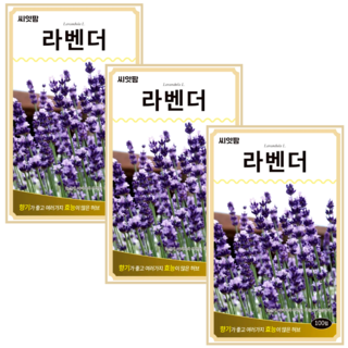 허브씨앗 라벤다 (100립x3) Lavender 라벤더 허브 키우기 종자, 3개