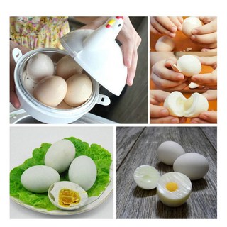 다용도 계란찜기 계란삶기 전자렌지 자동찜기 doi+473ru