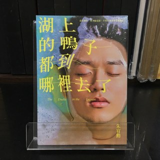 華欣師大店《湖上的鴨子都到哪裡去了》大塊 朱宥勳 各式小說 9789865406110