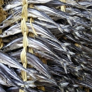 웰빙미래 통과메기 통꽁치과메기 꽁치역거리 반건조꽁치20마리 한두름 머리꼬리내장그대로건조함, 20마리, 1세트