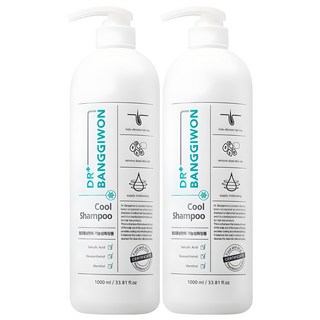 닥터방기원 쿨 샴푸 블루모히또향, 1L, 2개