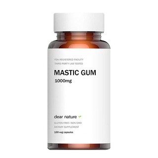 디어네이처 매스틱검 1000mg 120캡슐, 1개, 120정