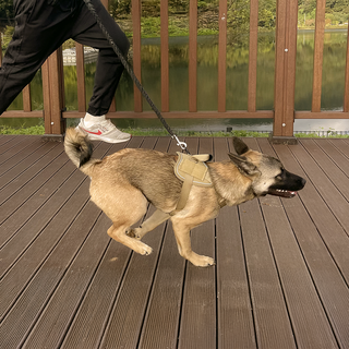 펫온즈 강아지 하네스 중형견 대형견 앞고리 액티브 하네스