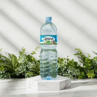생수/제주 삼다수 2L x 6병 한박스, 6개