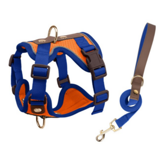 스노우윙 편안한 메쉬 강아지하네스, 에너제틱 오렌지블루콤보