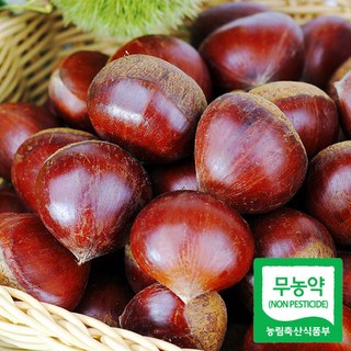 25년 햇 무농약 공주 정안밤 알밤 대품, 2kg, 1개