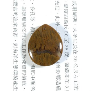 Gsw 135 黃金茅玉髓雙面配戴墬飾 - 精密打磨，改變磁場，成為你的本命物, 1個