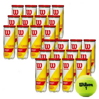 윌슨 챔피언쉽 테니스공 캔볼 36개, 72개