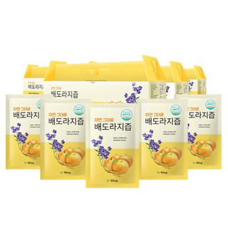 자연 그대로 배도라지즙 100ml 30포, 30개