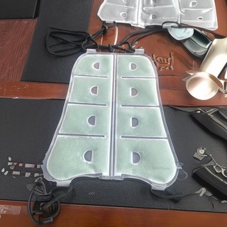 PCM 降溫背包墊 帶繩款 夏季降溫背心 馬甲 可調節涼墊, 綠色條紋