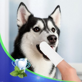 고급 강아지 고양이 애완동물 손가락 칫솔 구취 제거, 1개, 1ml