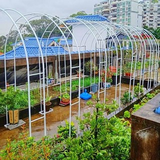 拱門花架 爬藤架CA01 花園月季支架鐵線蓮綠蘿植物架戶外花門庭院裝飾, 1個, 白色