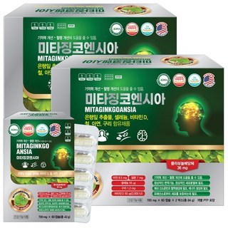 미국 미타징코엔시아 120캡슐X2박스 은행잎추출물 영양제 셀레늄 아연 비타민D, 120정, 2개