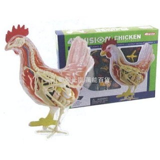 Fame Master 4D 透視雞 模型, 1個