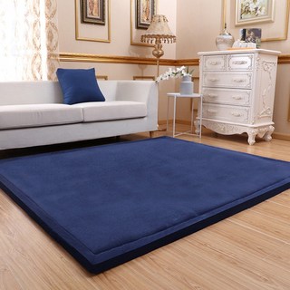 단색 거실 카페트 카펫 극세사 대형 러그 두꺼운 산호 양털 벨벳 매트리스 카멜 침대 다다미 아기 크롤링 매트 최신 일본 스타일 3cm