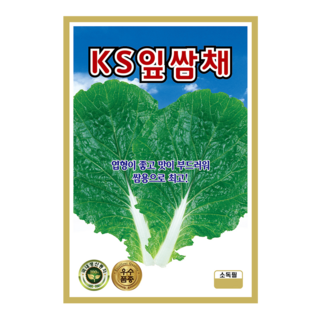 잎쌈배추 500립 잎쌈채 씨앗 종자 모종 텃밭 주말농장 KS종묘 그린종묘농약사, 1개