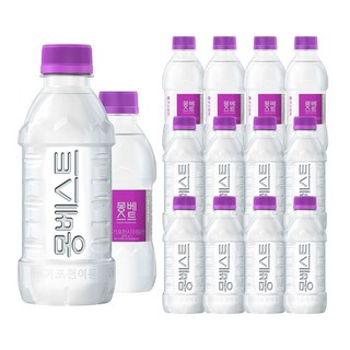 몽베스트 생수, 330ml, 40개