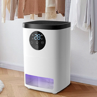 RichMagic 대용량 제습기 가정용 무드등 시간예약 가능 최소한의 소음으로 취침 모드 있는 제습기, 화이트