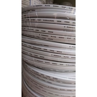 600V 1.6&2.0 白色扁線 X 100Y 碼 VV F 氯聚乙烯絕緣電纜，PVC絕緣護套，適用於室內配線, 1個, VVF1.6白扁線X100Y碼 捐發票