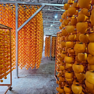 [가격파괴] 상주곶감 실속형, 1박스, 상주곶감_500g x 2_(강력추천)