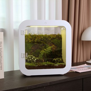 정린네 모글모글 완제품 테라리움 비바리움 식물등 이끼 감성조명 플랜테리어 무드등 V1, 1개