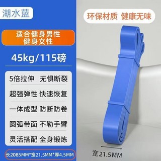 彈力帶 健身阻力帶 男女適用 減肥拉力帶 肩膀訓練 引體向上輔助帶, 【材質升級A+級乳膠】寶石藍-【寬21m, 1個