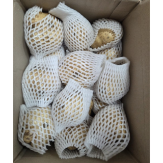 국산 히카마 얌빈 멕시코 감자 슈퍼푸드 혈당관리 저칼로리 다이어트 JICAMA 감자, 1박스, 5kg