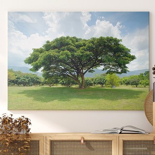 [인메이블] 재물과 장수의 소나무 숲 그림 사군자 대나무 자연 풍경 포스터 왕죽도 사업운 풍수 인테리어 캔버스 나무 액자, 22.[I]TR- 들판 위 푸른나무