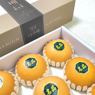 [명절선물세트] 프리미엄 나주배 특품 선물용 나주 산지직송, 1박스, 최상급 나주배 선물세트 5kg (8과/9과/10과),