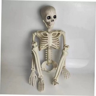 이바고 할로윈 해골 장식 파티용품 스컬 모형, 1개, 신90골격