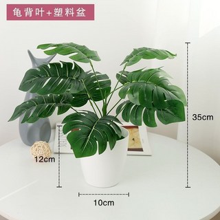 仿真尤加利小盆栽 綠植室內外裝飾 塑膠盆栽 創意室內擺件, 【*圓盆+龜背葉*】, 1個