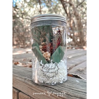 乾燥花畢業禮物 情人節生日禮物 畢業伴娘禮 婚禮小物 塑膠瓶花罐, 松果8（無燈串無禮盒）