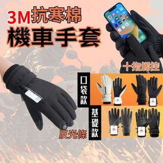 防風觸控機車手套 保暖防寒騎士手套 防滑單車手套, 【基礎款】灰色,L
