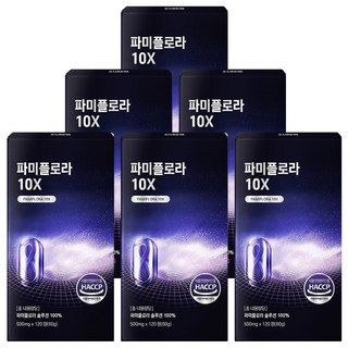 파미플로라 10X, 6개, 120정