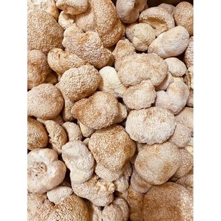 埔里香菇猴頭菇 - 口感極佳料理必備, 1個, 300g