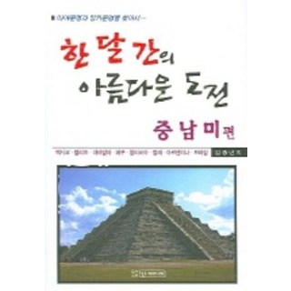 SunMedia 一個月的美麗挑戰 (中南美篇), 金鍾年 著