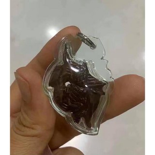 阿贊摩納2544人緣鳥