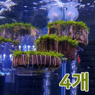 봄대디 벽면 모스선반 모스 카펫 거치대 활착석, 4개