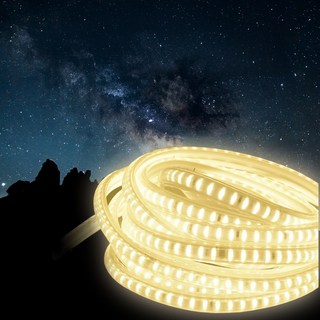 燈條 【露營中毒本鋪】 110v 原廠保固 送捲盤 送收納袋 三代最新款, 1個, 【10米套餐】[10公尺]贈收納盤+網袋,黃光