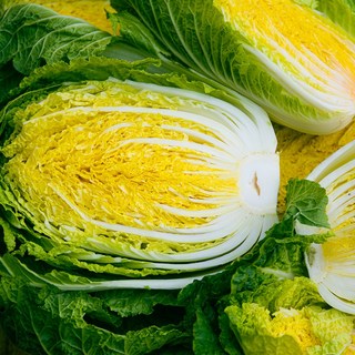 달큰 아삭 청정 강원도 고랭지 절임배추 20kg, ., 1박스