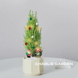 聖誕樹香鬆辦公室植物聖誕節室內盆栽禮物桌面綠植擺件diy花卉, 1個, 聖誕老人+香鬆+雪山盆+草圈+燈+綵球