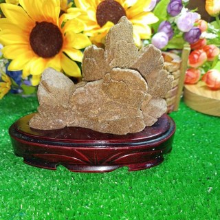 沙漠玫瑰石，天然造型獨特，適用於花束籃裝飾，增添自然美感, 1個