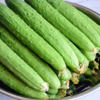 아삭탱탱 백다다기 오이 청량한 백오이, 1박스, 1kg