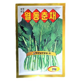 농사친구 월동춘채 20g 씨앗 동원 씨 종자 쪽파 고사리 명이나물 산상추 초당옥수수 항암배추 담배 산마늘 아스파라거스 고수, 1개